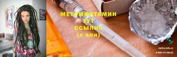 крисы Бородино