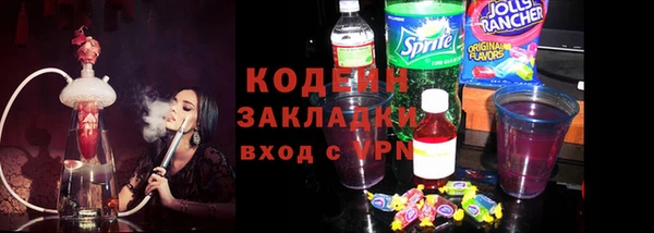 крисы Бородино