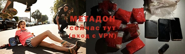 крисы Бородино