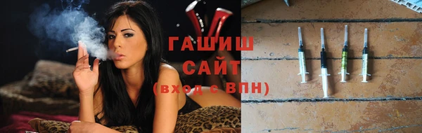 крисы Бородино