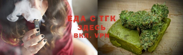 крисы Бородино