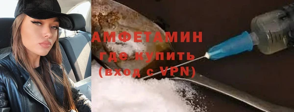 крисы Бородино