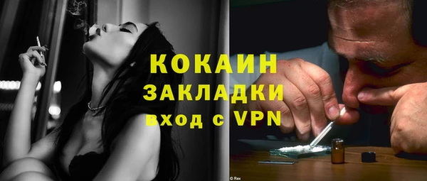 крисы Бородино
