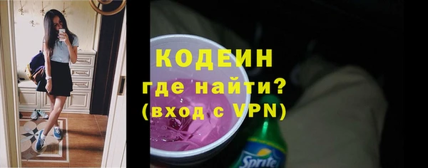крисы Бородино