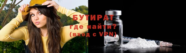 крисы Бородино