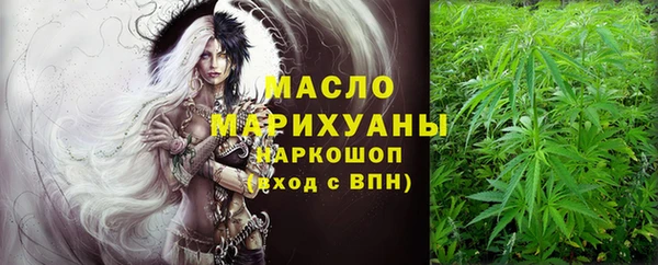 крисы Бородино