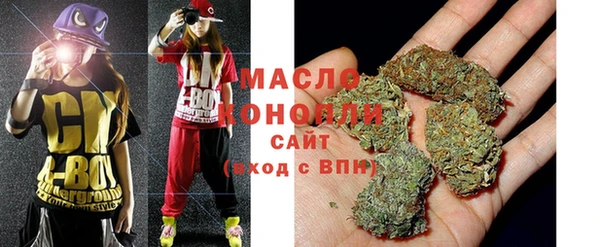 крисы Бородино