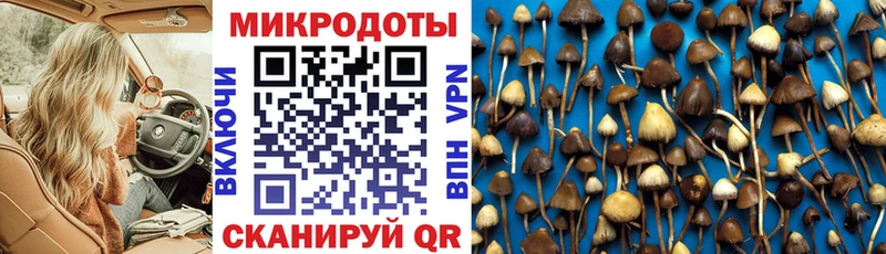 Галлюциногенные грибы Cubensis  Юхнов 